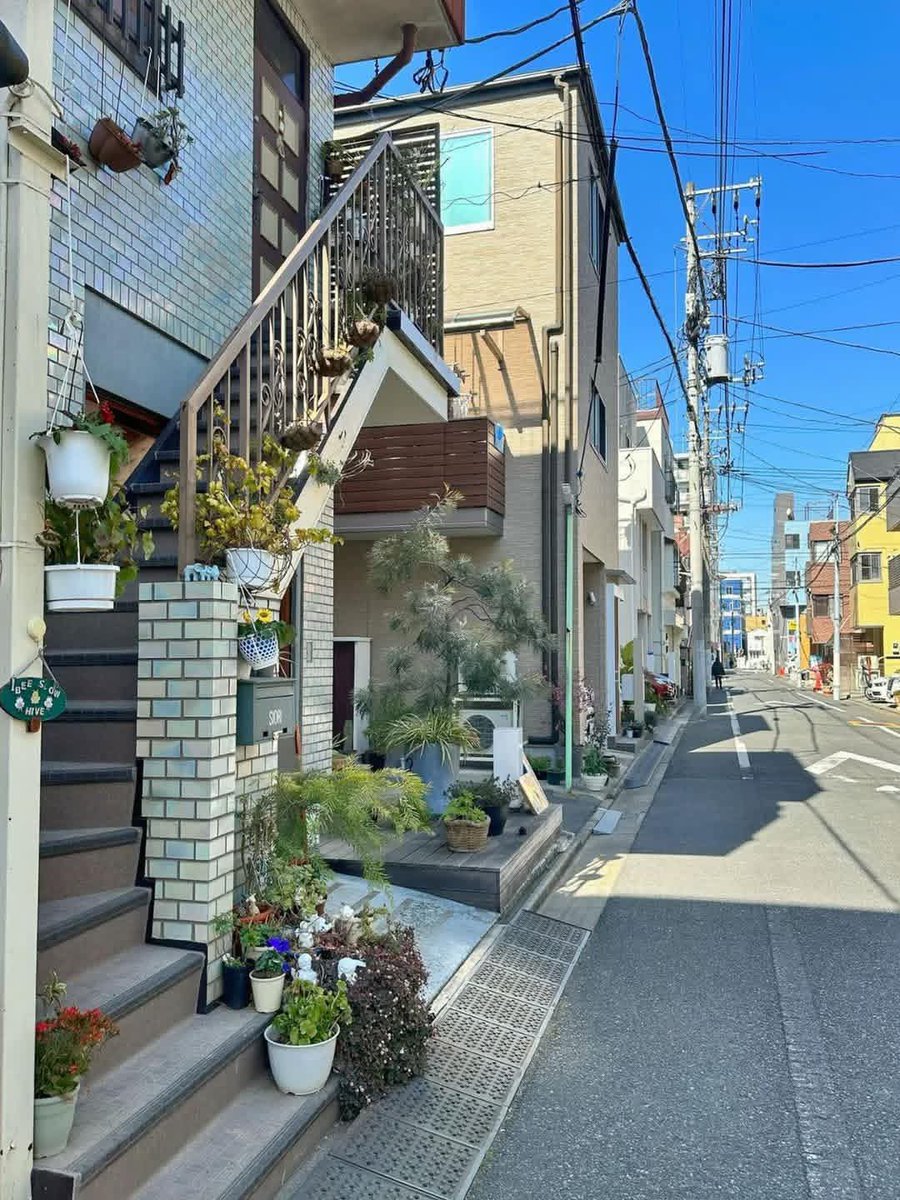 Harukasoraaa's tweet photo. Almost every street in Japan feels unbelievably clean✨ https://t.co/nZFAMU3mg8