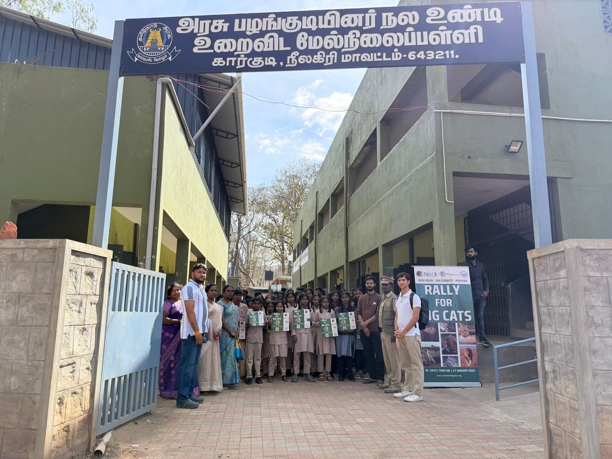 International Big Cat Alliance (IBCA) tweet media