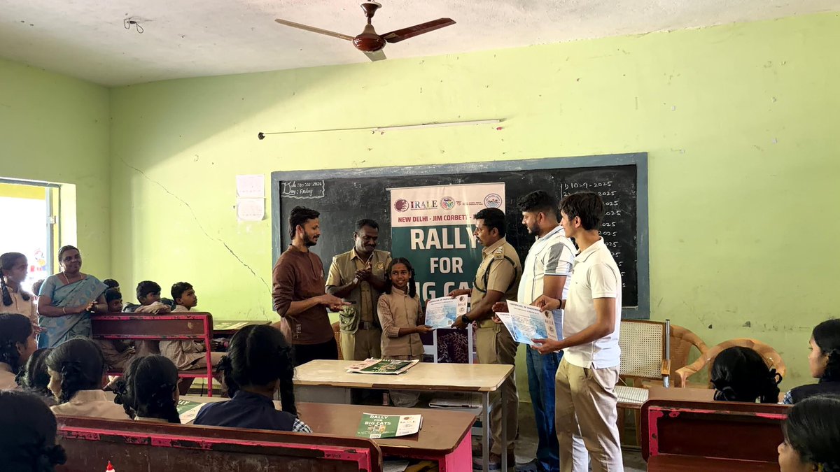 International Big Cat Alliance (IBCA) tweet media