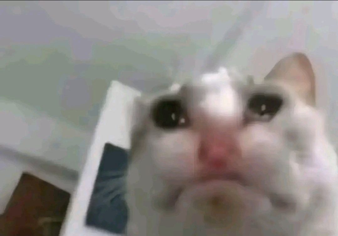 I'm jealous from outside of the club because I can't get in 😭