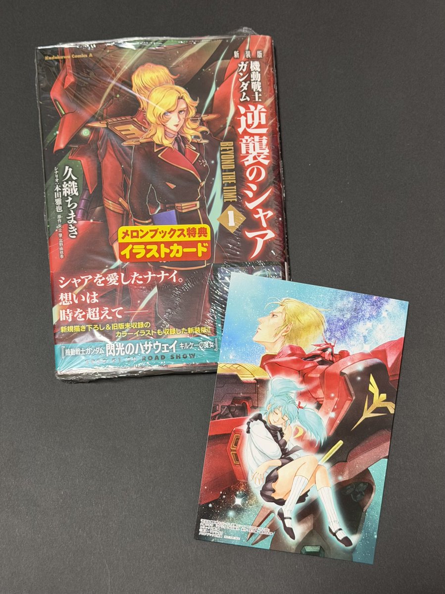こちら、ちょい前に購入していた 『新装版 機動戦士ガンダム 逆襲の
