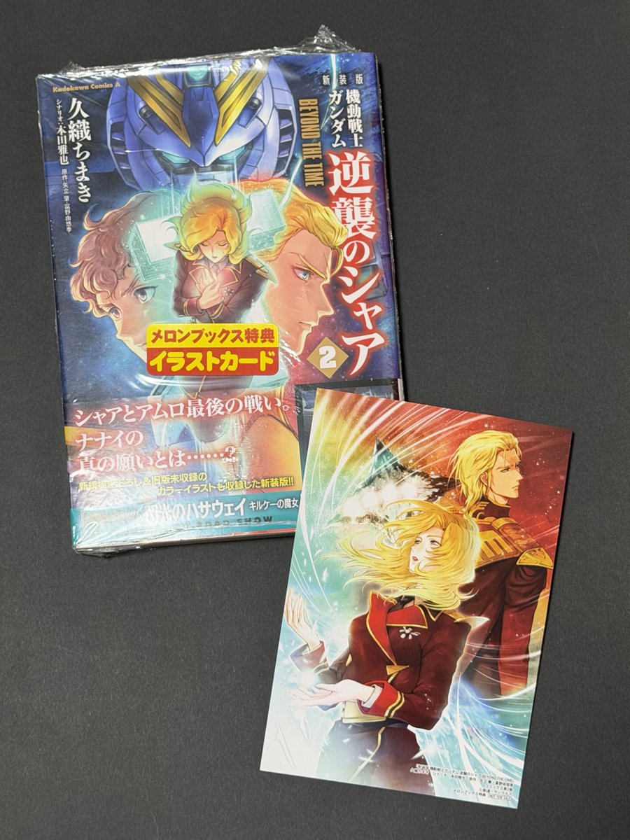 こちら、ちょい前に購入していた 『新装版 機動戦士ガンダム 逆襲の