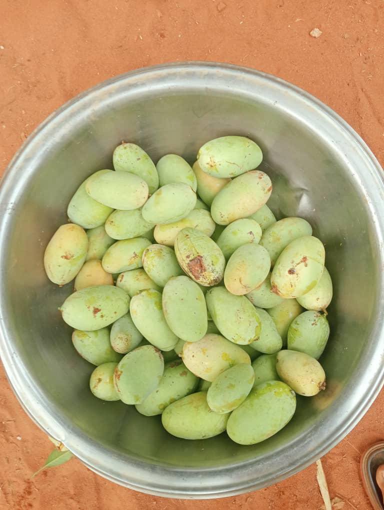 <a href="/Allwell_DC/">DC</a> Na we get am…