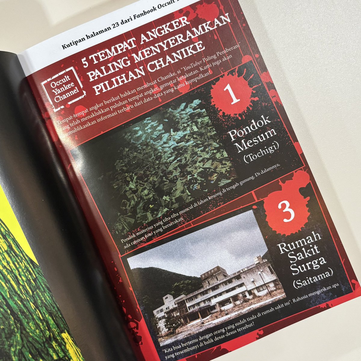 Araaa ☕️ tweet media