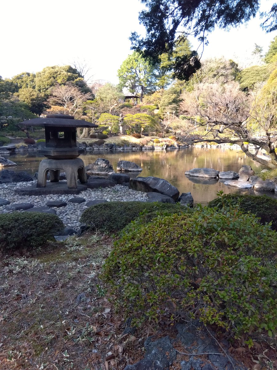 楽しいむーぽん一家（睦月@親娘蟲主） tweet media