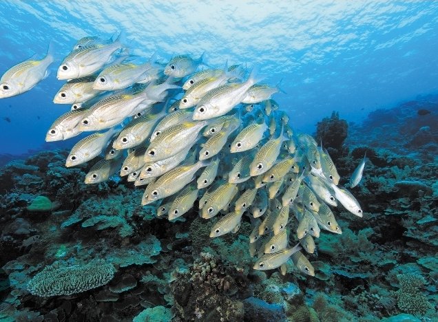 May this new day bring you clarity of mind, strength for your goals, and peace in your heart. As you step out today, may your efforts be fruitful and your plans align with your purpose.

Stay focused on your dreams, keep your faith strong, and let excellence speak for you.
Have a