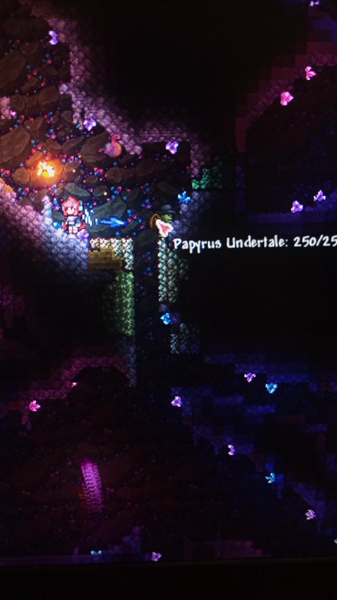 r/Terraria 🌳 tweet media