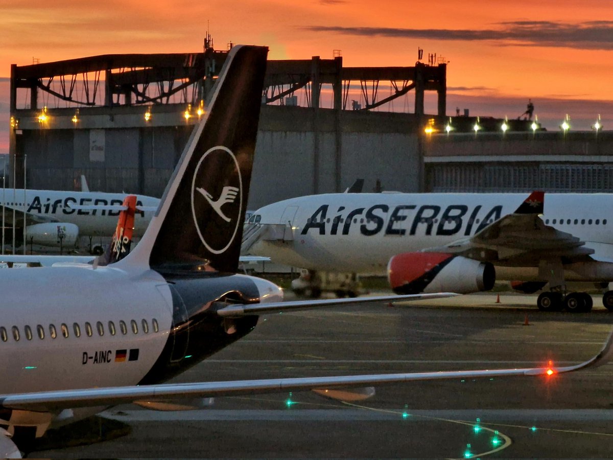 Luka Popovic tweet media