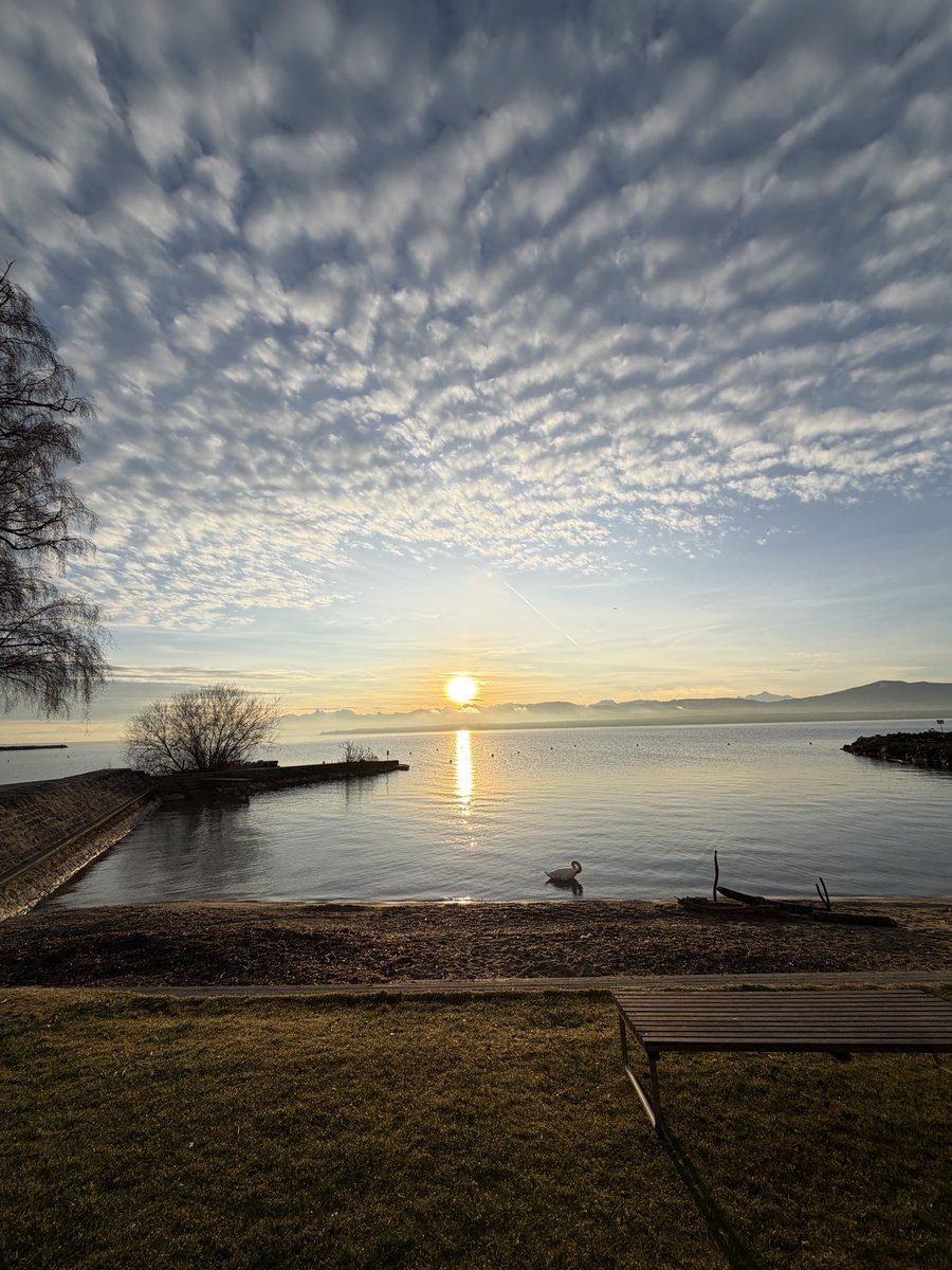 Gm 

Have a good day