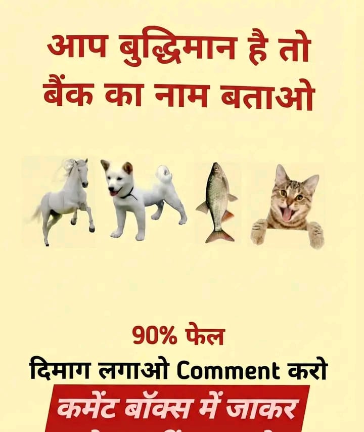 𝗗𝗲𝘀𝗶 𝗩𝗮𝗶𝗱𝘆𝗮 tweet media