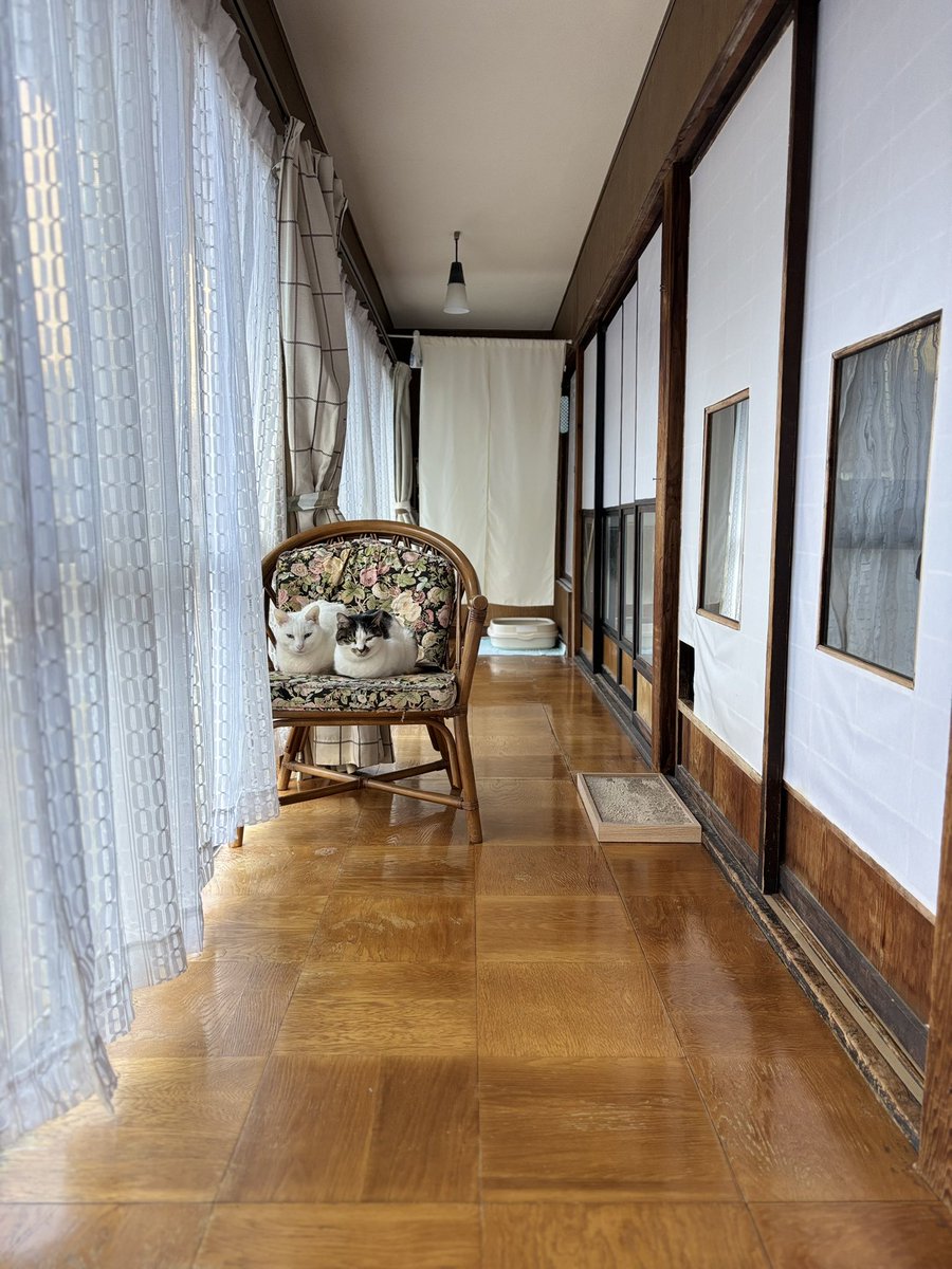 ライチ様へ♥3/15 ライチ (@Raiti_01) / Posts / X