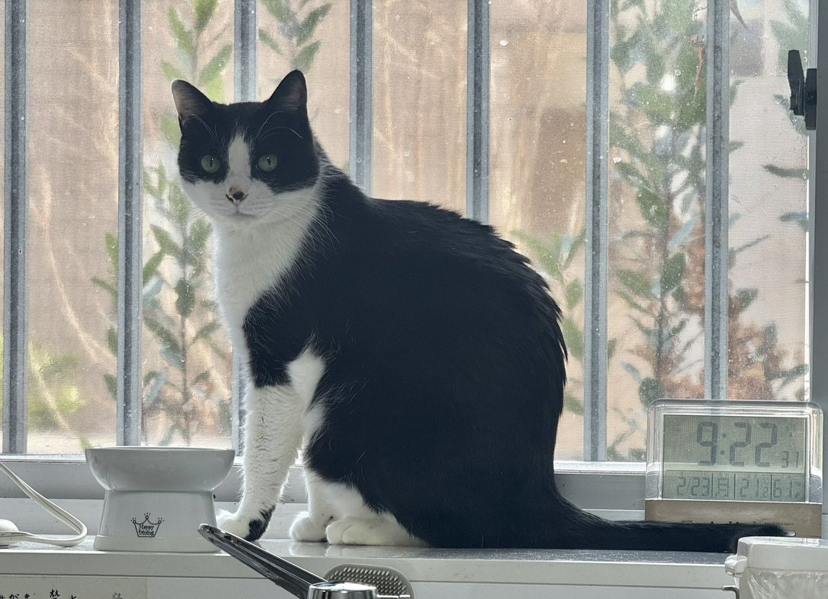 真下正樹 tweet media