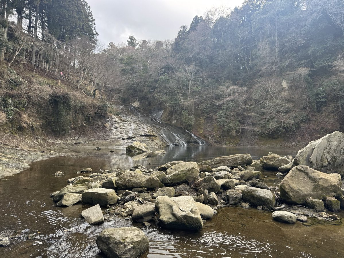 真下正樹 tweet media