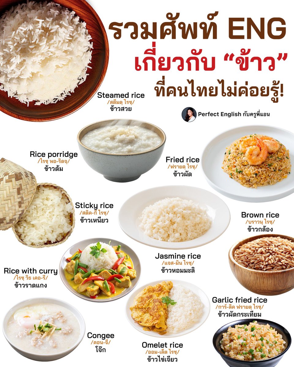 englishbykruann's tweet image. ครูพี่แอนรวมคำศัพท์อังกฤษเกี่ยวกับ ”ข้าว“ ที่คนไทยส่วนใหญ่ไม่ค่อยรู้! 🍚

#ครูพี่แอน #เรียนภาษาอังกฤษ #คำศัพท์ภาษาอังกฤษ #ฝึกภาษาอังกฤษ #ข้าว