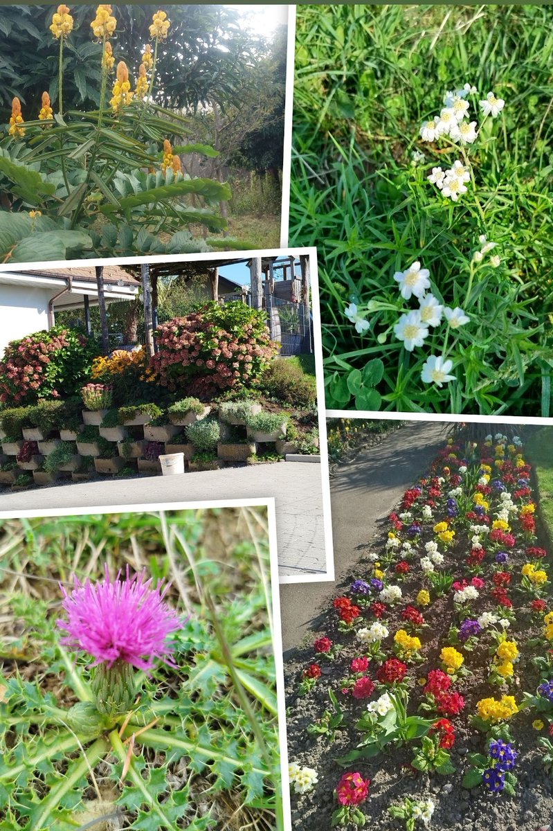 Beautiful shades of Nature.

“Nature always wears the colors of the spirit.” – Ralph Waldo Emerson.
#experiencenature