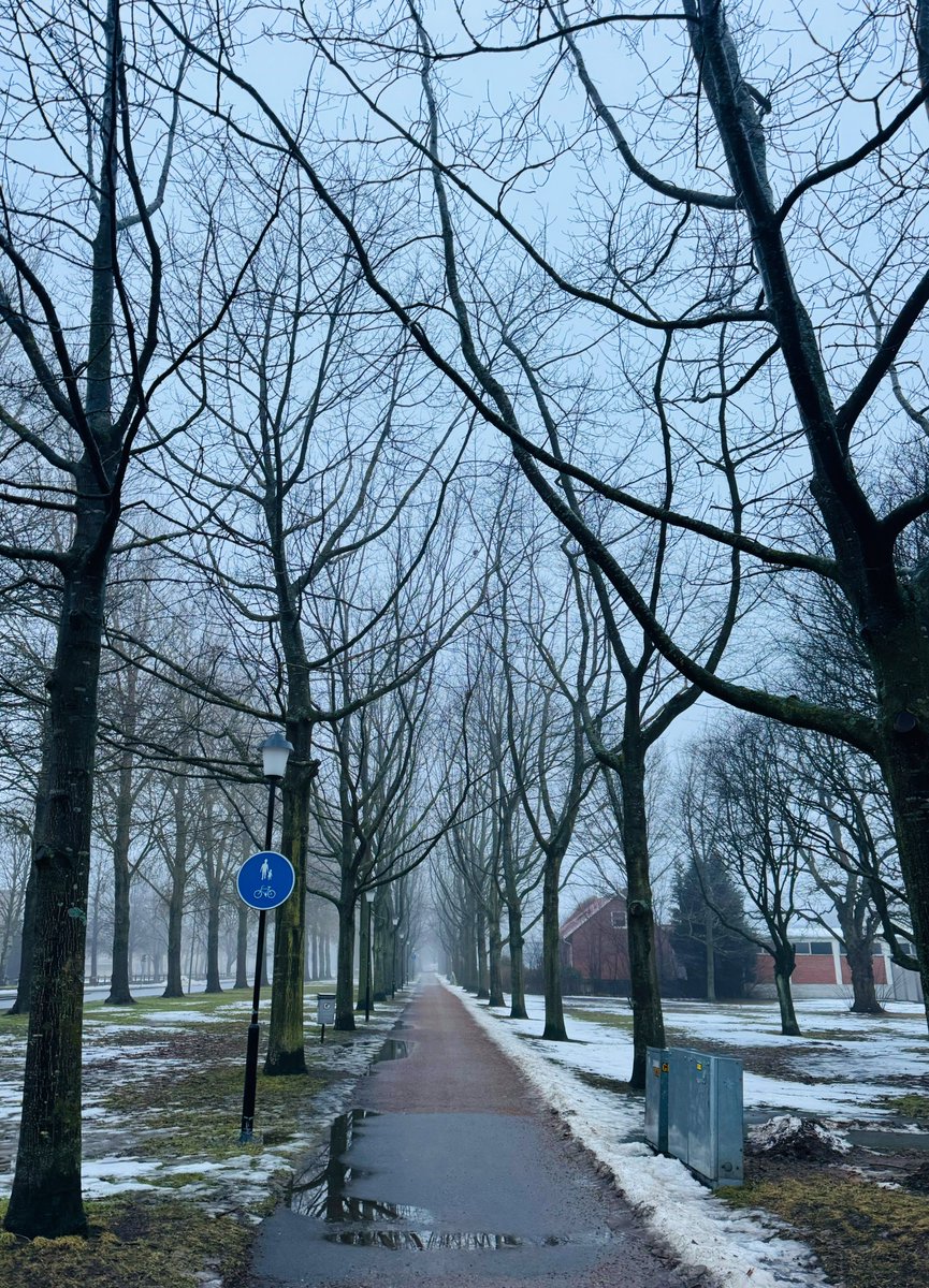 Green Minded🌿 tweet media