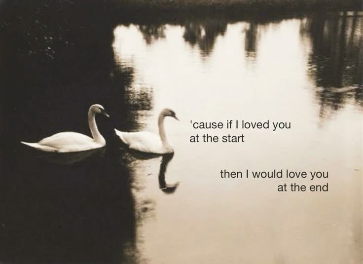 Yasmine. tweet media