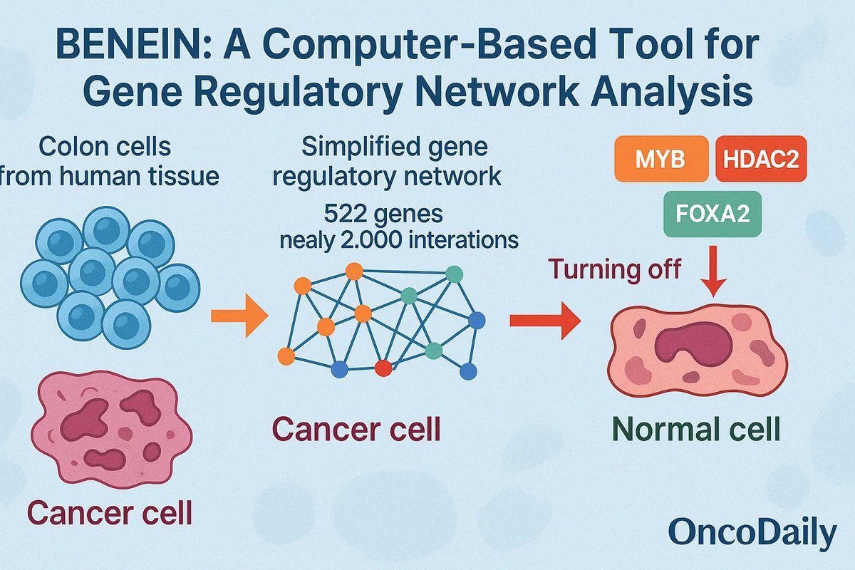 🚨 Mind-blowing science: KAIST researchers in South Korea just reprogrammed colon cancer cells BACK to normal ones. No killing—just flipping genetic switches (MYB, HDAC2, FOXA2) to make them act healthy again. Tested in cells, mini-organs, and mice—tumors shrank without the usual