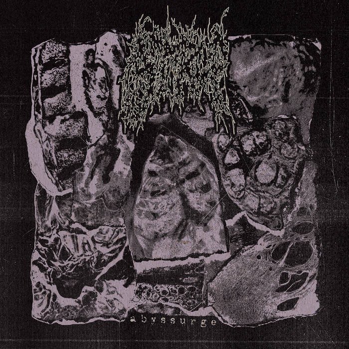 Defstar666's tweet photo. #NowPlaying
🇺🇦 STRUP - Abyssurge
🏷️ Rotted Life
https://t.co/xaEEsvunrS
#Strup #ukrainian #grind #gore #deathdoom https://t.co/gdTK3QNANi