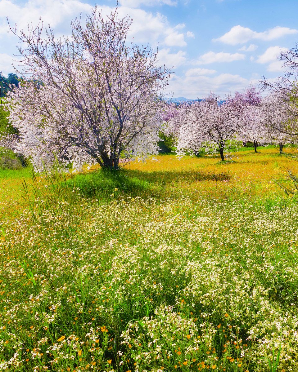 VisitCyprus tweet media