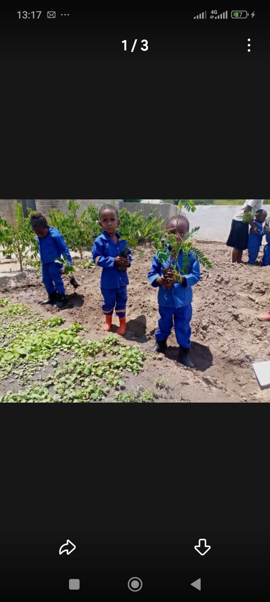 We try to plant in the young ones how we as Human beings are connected to mother earth. As we experience  climate changes we have to take action not to tear the mother earth's heart but to pay tribute to her. Let us show some love to Mother earth ❤️❤️❤️