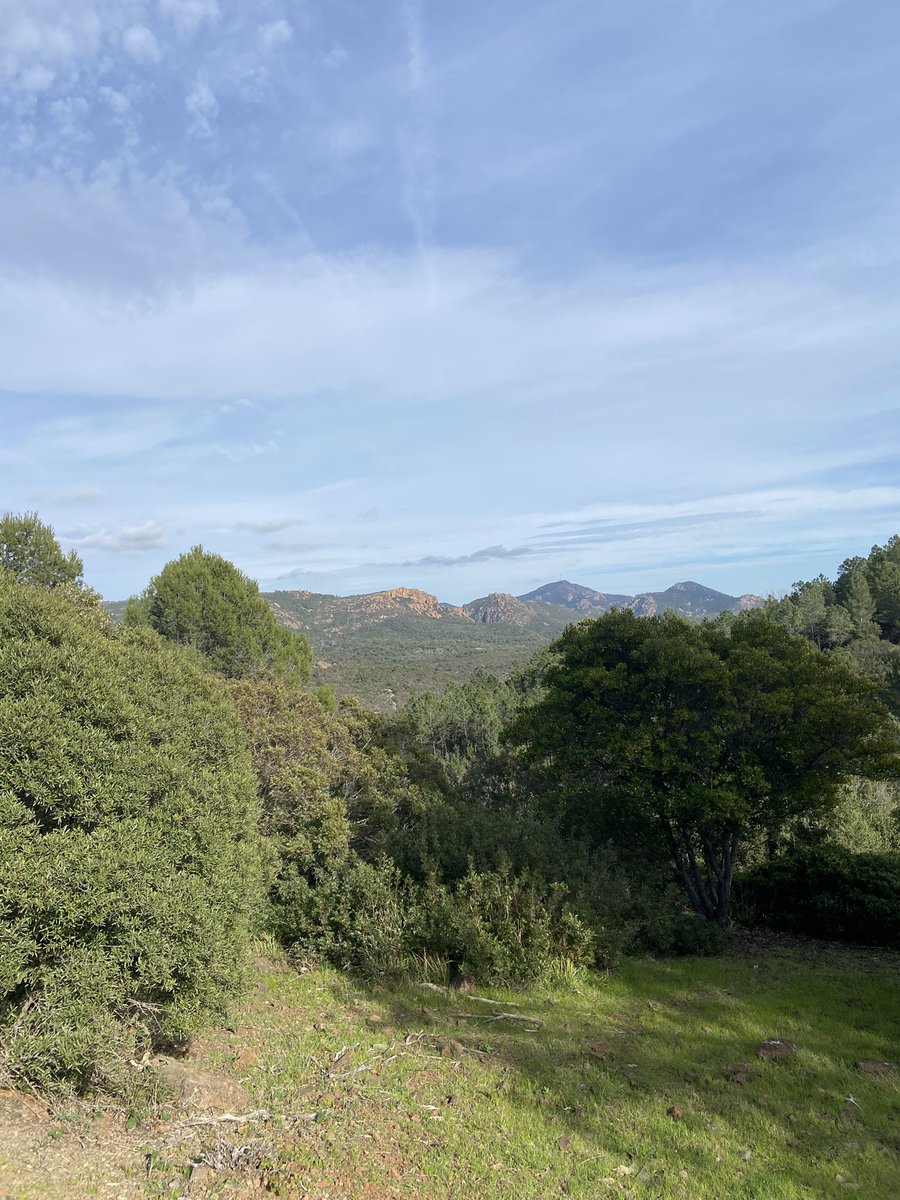 Good Morning Friends