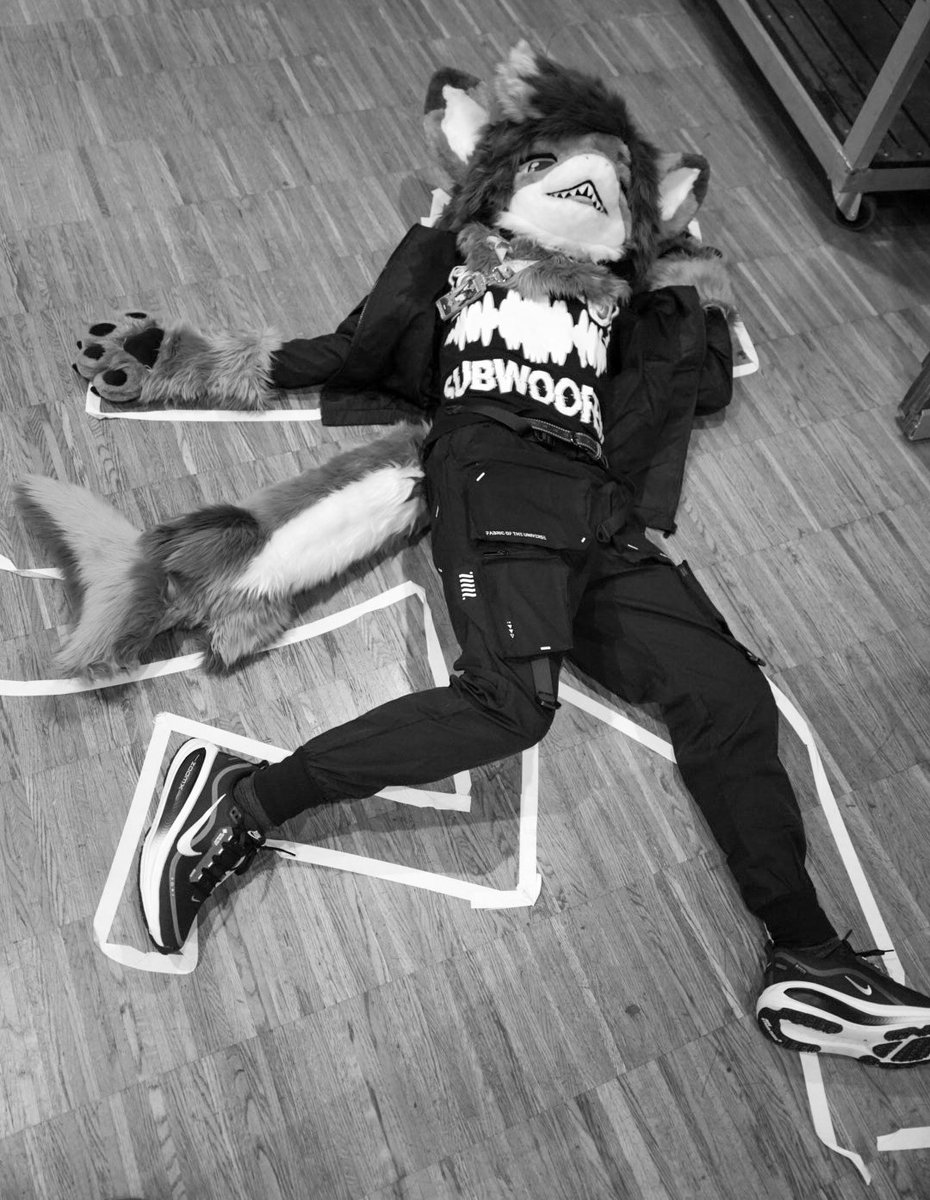 Misha 🔜 FWA tweet media