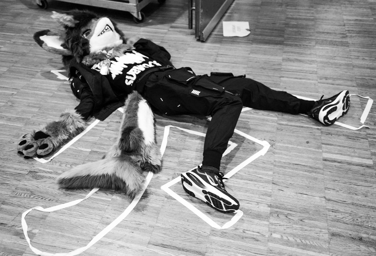 Misha 🔜 FWA tweet media