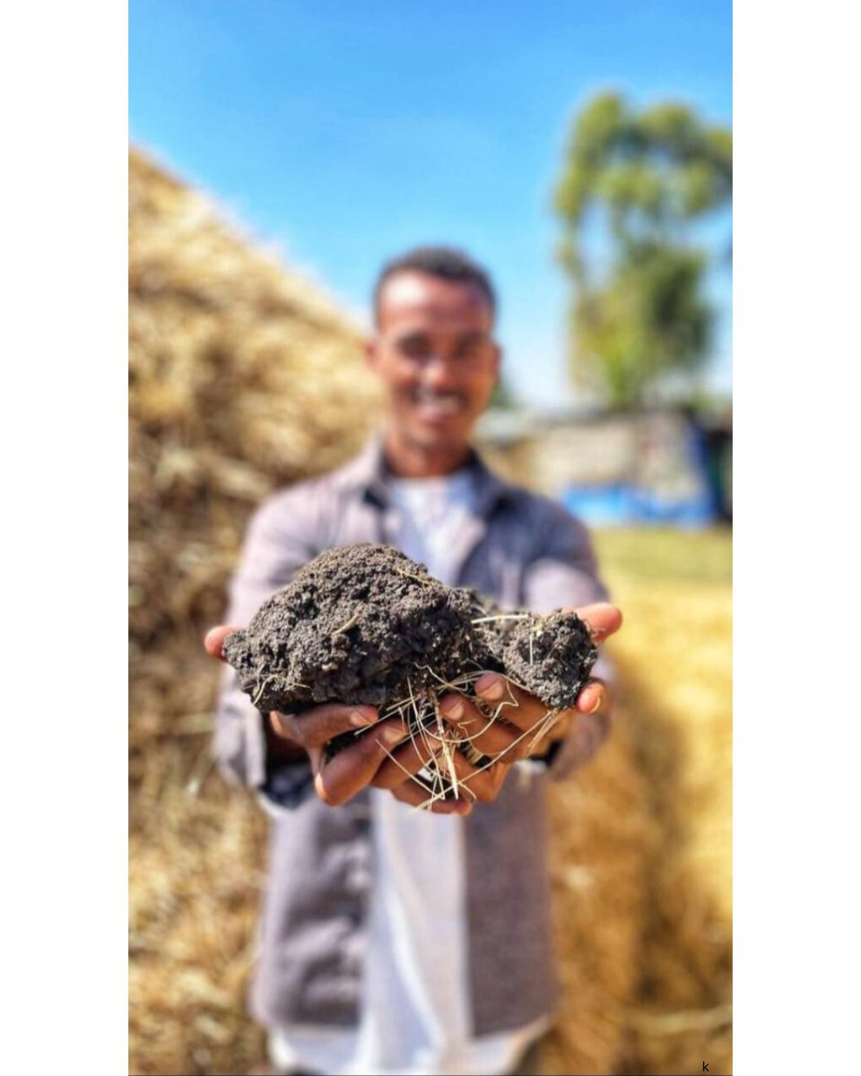 Kasherltd's tweet photo. Digital tools are changing agriculture, and rural farmers are not left behind. 

From mobile advisory services to digital payments and basic farm data tracking, farmers are blending traditional knowledge with modern solutions.

It's time to evolve without losing one's roots! https://t.co/EFB36a9Rtu