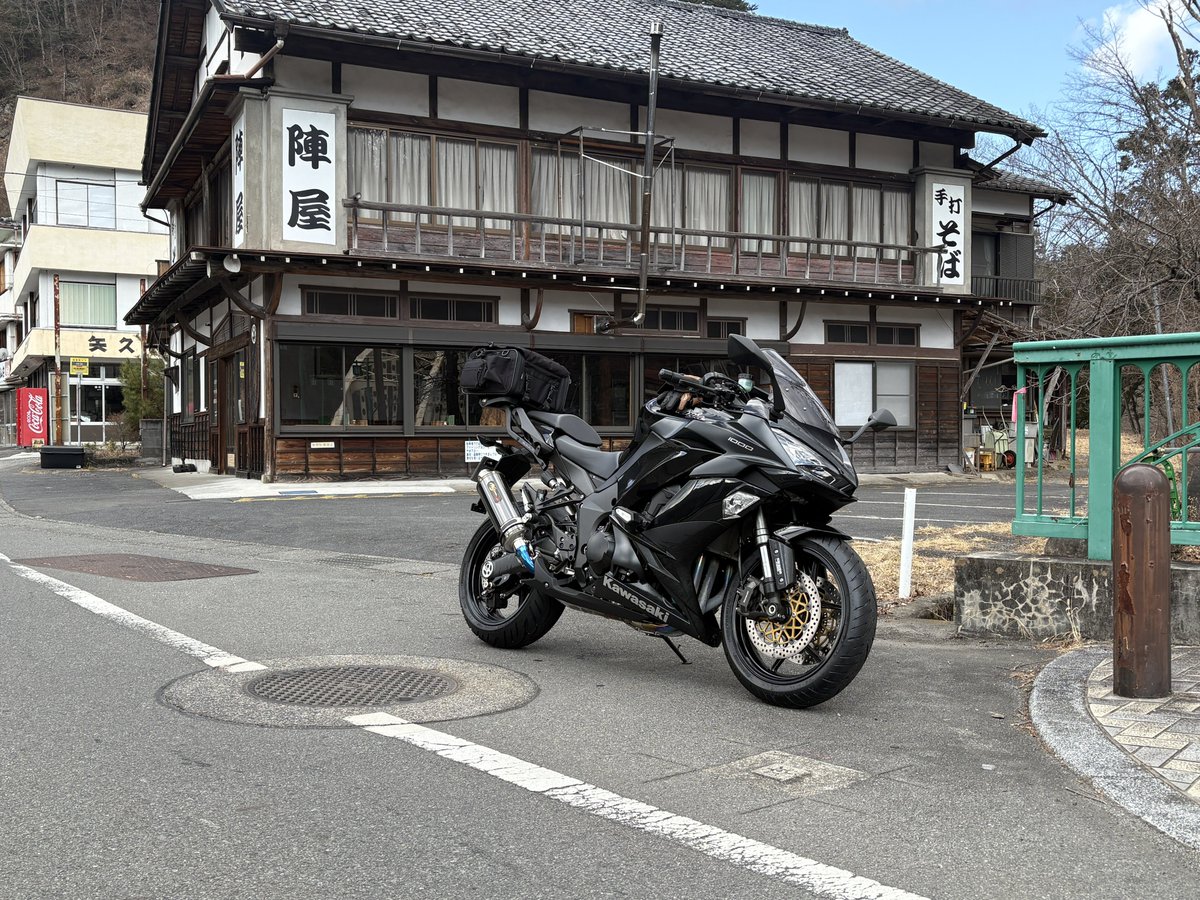 最高の野生種 tweet media