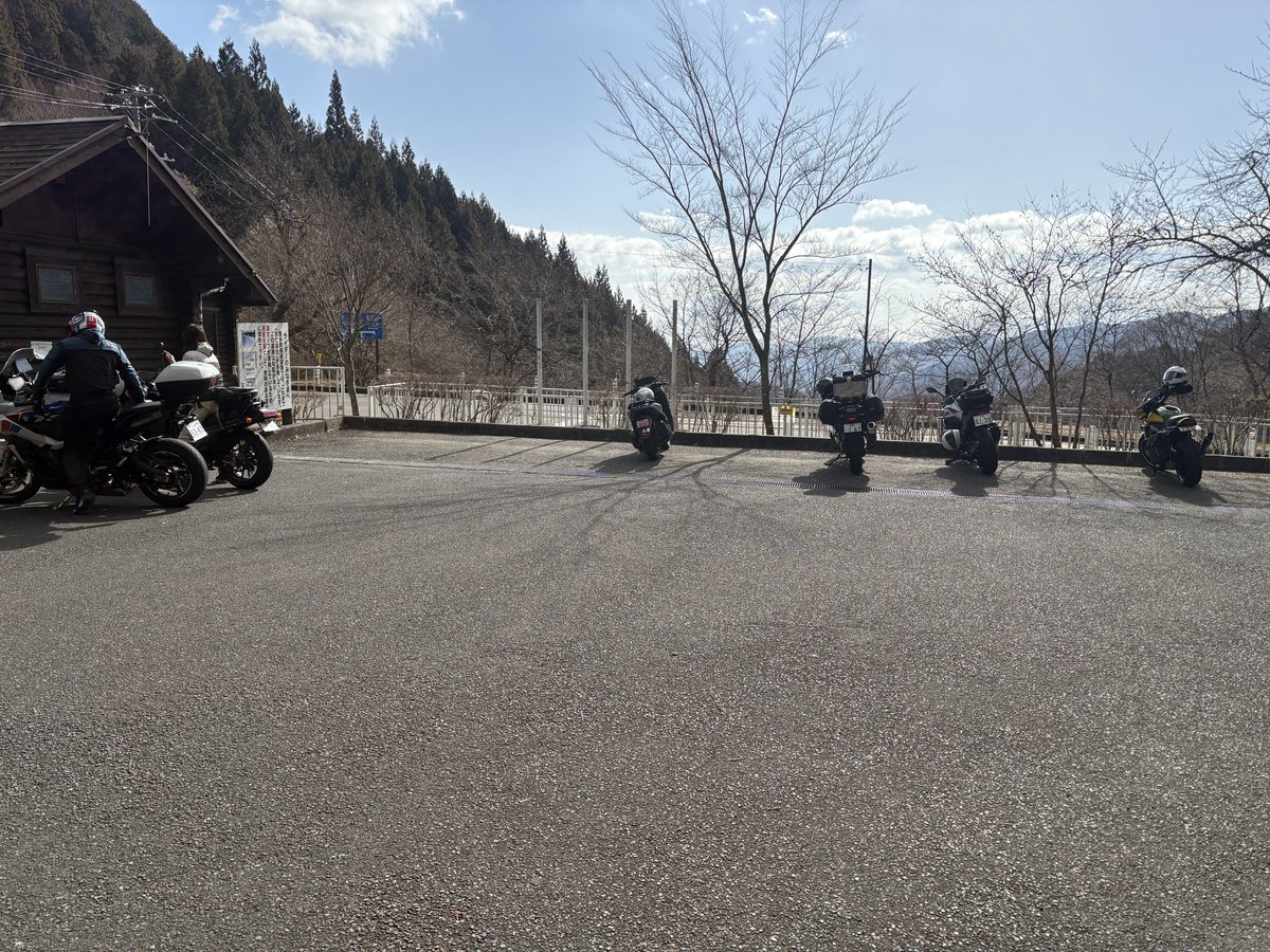最高の野生種 tweet media