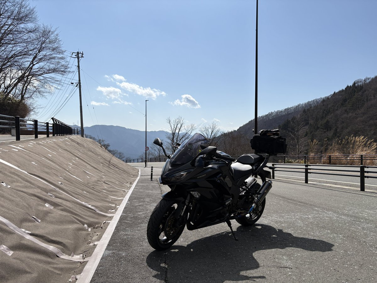 最高の野生種 tweet media