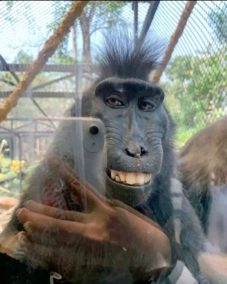 My neighbor this morning:

Surgeons: Educated Butchers 
Pharmacists: Learned drug dealers 
Physiotherapists: Certified gym instructors 
Dentists: Tooth carpenters 
Radiologists: Med Photographers
Nurses: (I don't want them to drag me, you guys fill this one) 

drop yours below👇🏾