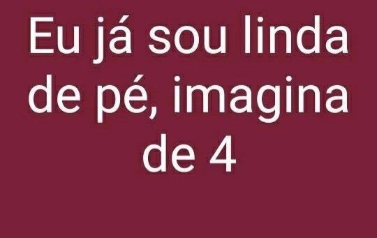 talitamedeiross tweet media