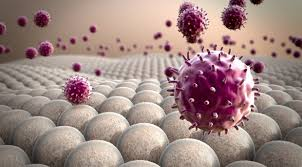 adv_immunology's tweet image. NHL college gets Gujarat's first DM clinical immunology course....tinyurl.com/2vrvrdfa.
To Know more information about immunology visit our website .....immunologyconclave.com
#Immunology #Coursework #virus #vaccine #medical