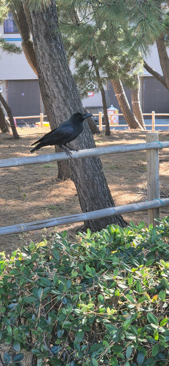 Caffeine_Stock_'s tweet photo. #일상계_트친소 #일상계트친소 #일상계_트친소 #투자계_트친소 #재테크 #일상계 #트친소 

안녕하세요. 트친소 열어봅니다.

20대 취준생이고, 일상, IT, 컴퓨터, 주식, 재테크에 관심 있습니다.

아마 그쪽 이야기 위주와 일상 이야기 할 것 같아요.

흔적 남겨주시면 찾아가겠습니다. https://t.co/EM7RPbS99h