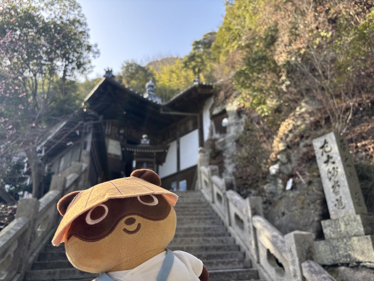 ぽんちゃん公式【四国家サポーターズクラブキャラクター