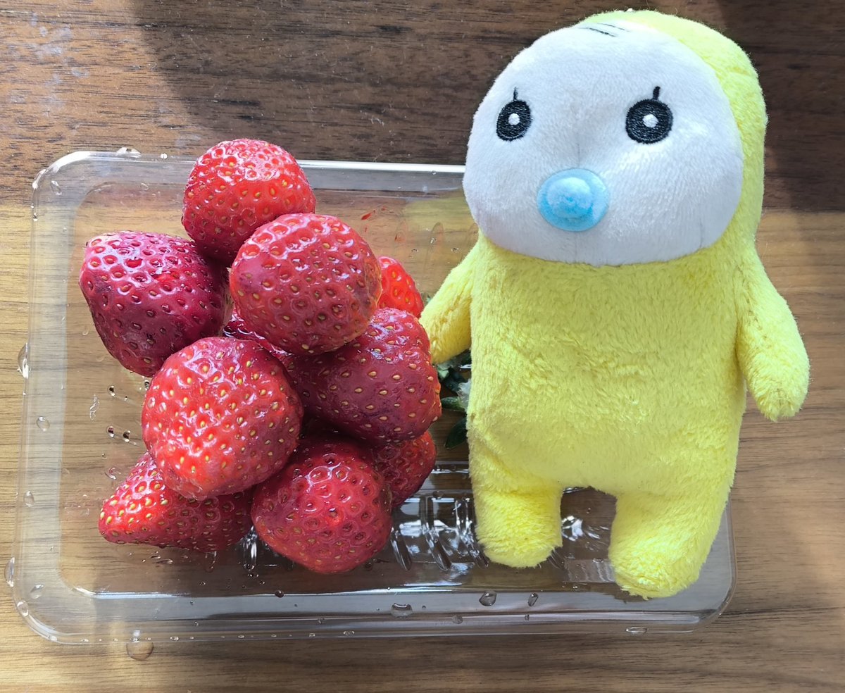 いちご🍓 美味しい季節ですね💖 #めめたん #いちご