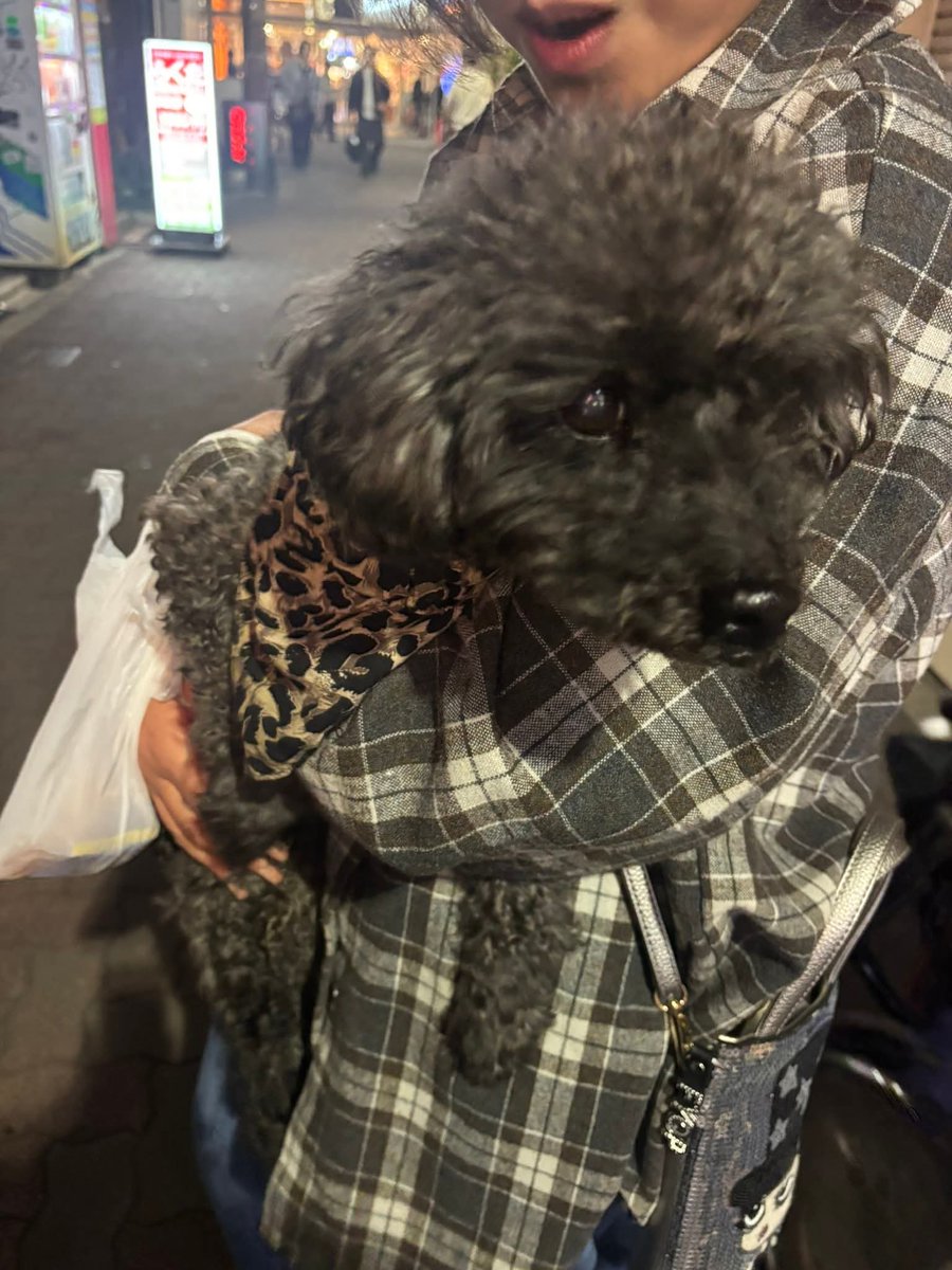 まちこ tweet media