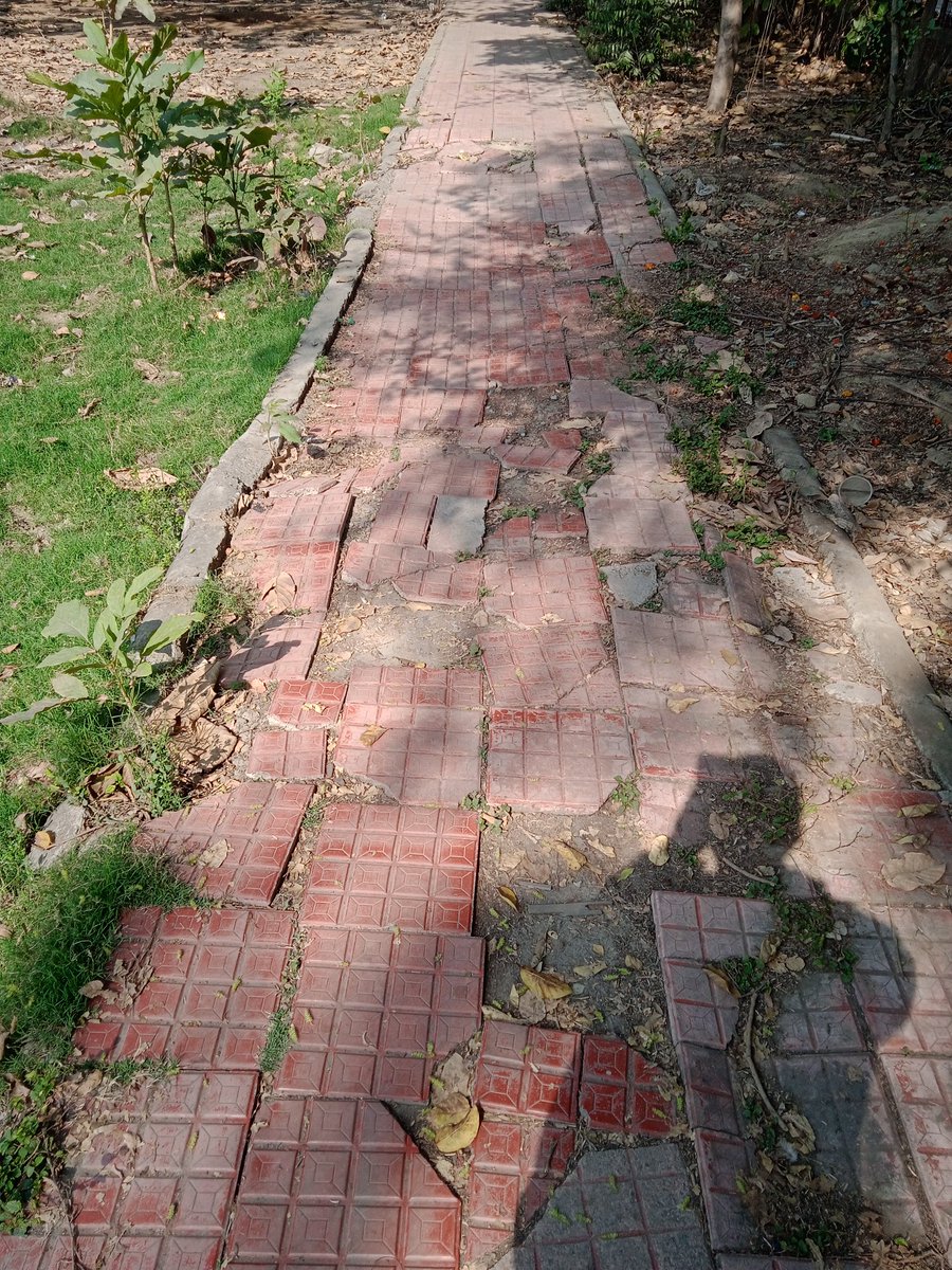 akhil_ps2012's tweet photo. @dewestzone
@dcrohinizone 
@SPrakashBjpDel 
Indra vihar .mukherji nagar ke park ki durdasa kab door hogi. https://t.co/x1iGczlGT8