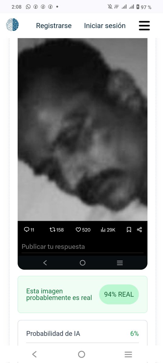 elien clisp tweet media