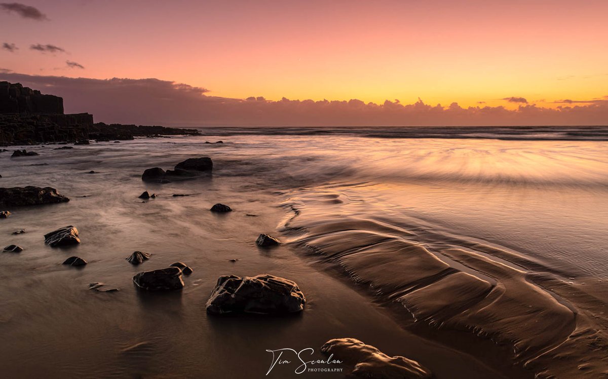 Tim Scanlan tweet media