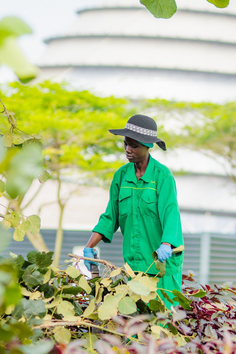 Radisson Blu Kigali tweet media