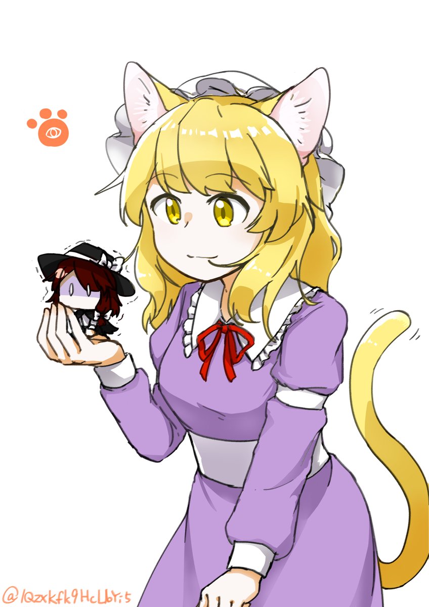 Post by アスノスケ on X: ﾈｺﾁｬﾝ