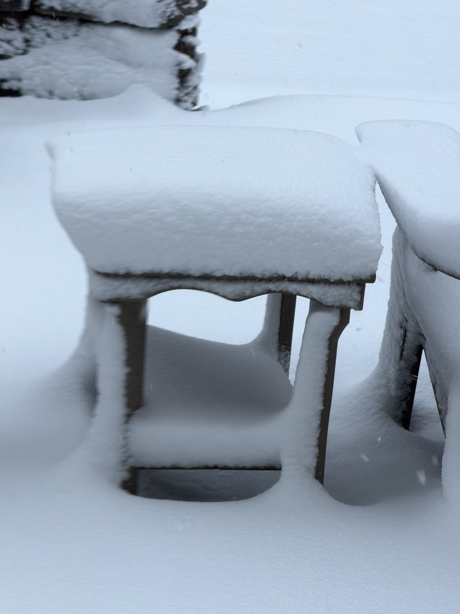 Larry Greenberg tweet media