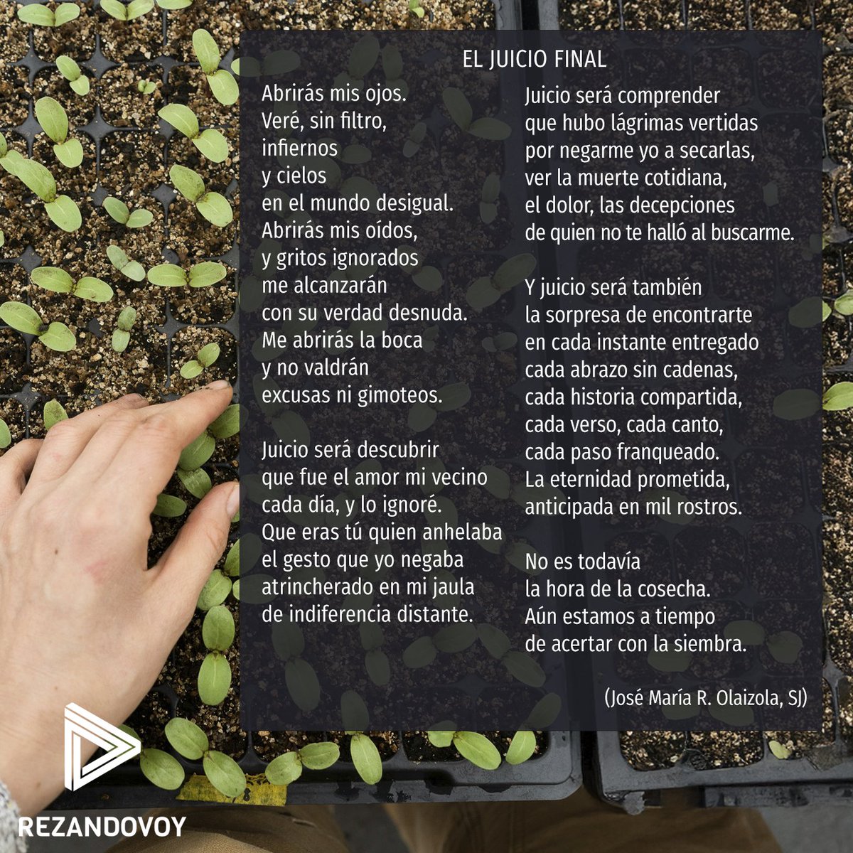 rezandovoy's tweet photo. Aún estamos a tiempo
de acertar con la siembra... https://t.co/Ozmz7DXnjp