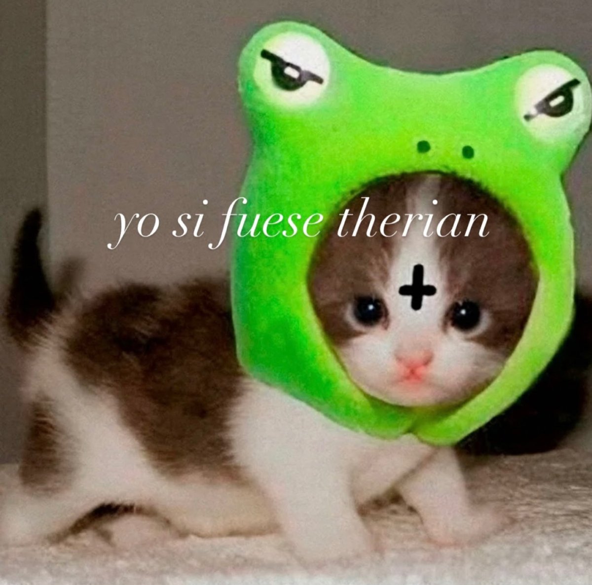 kittyporro🍁 tweet media