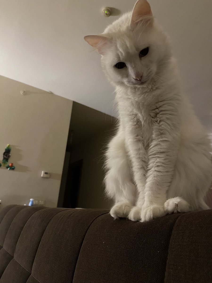 Ben Jülide 
Jülük
Cülü
Kahbe