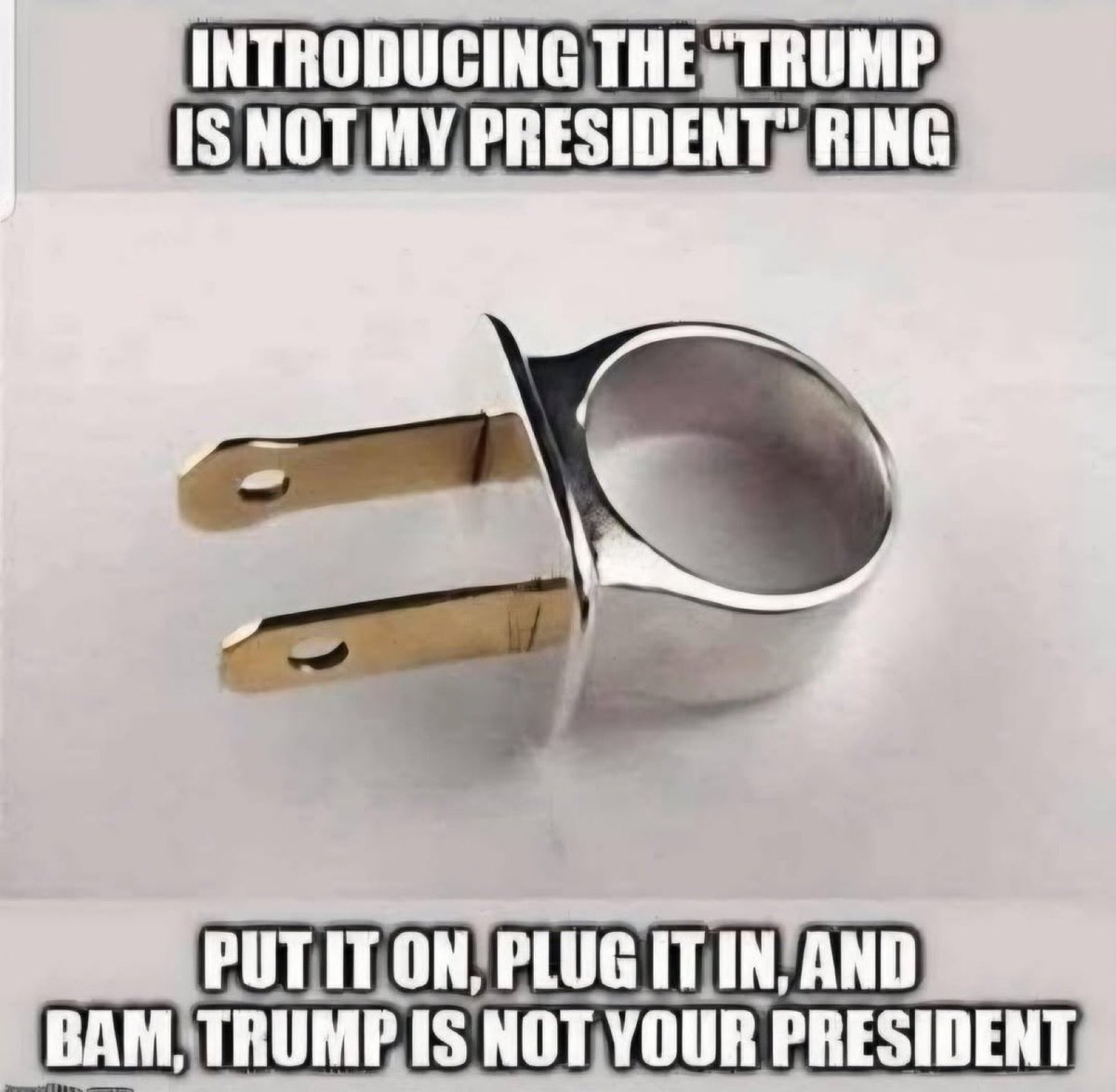 Pretty Bird tweet media