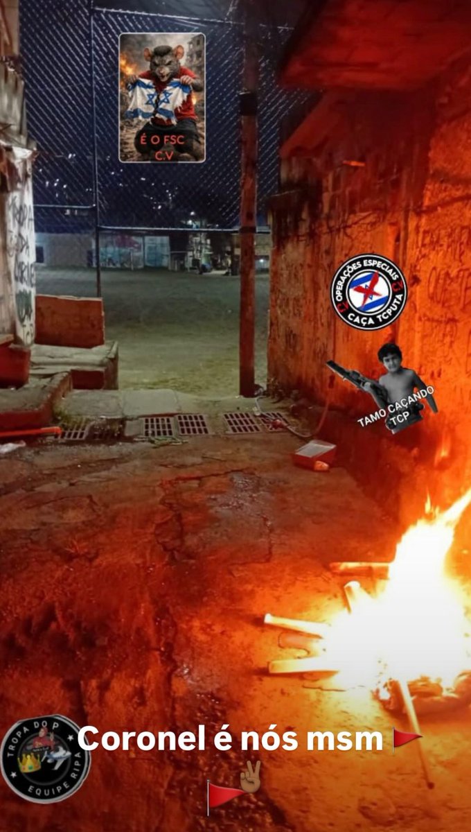 𝙋𝘼𝙋𝙊 𝘿𝙀 𝙁𝘼𝙑𝙀𝙇𝘼 - 𝙍𝙅 tweet media